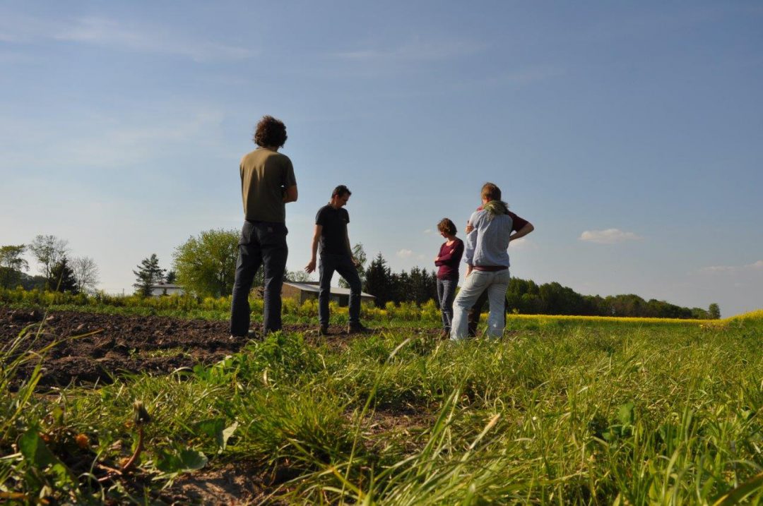 Bündnis junge Landwirtschaft | Netzwerk Flächensicherung